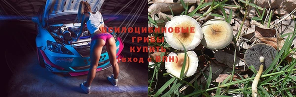 ALPHA-PVP Дмитриев