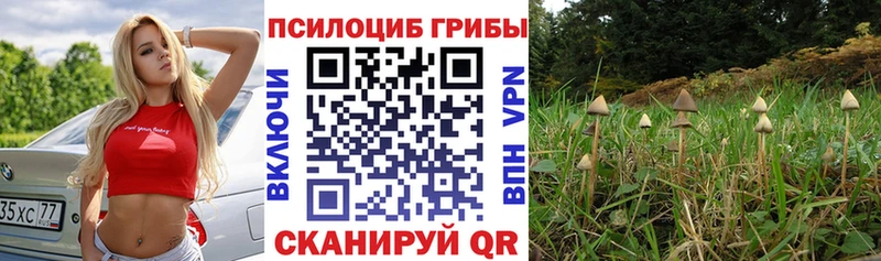 Галлюциногенные грибы ЛСД  где купить   Кингисепп 