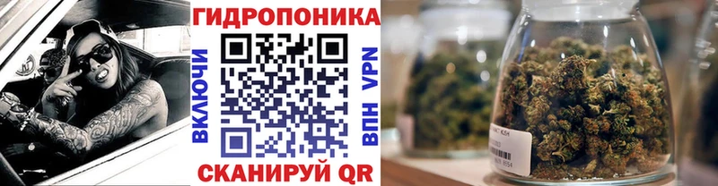 Конопля White Widow  закладки  Кингисепп 