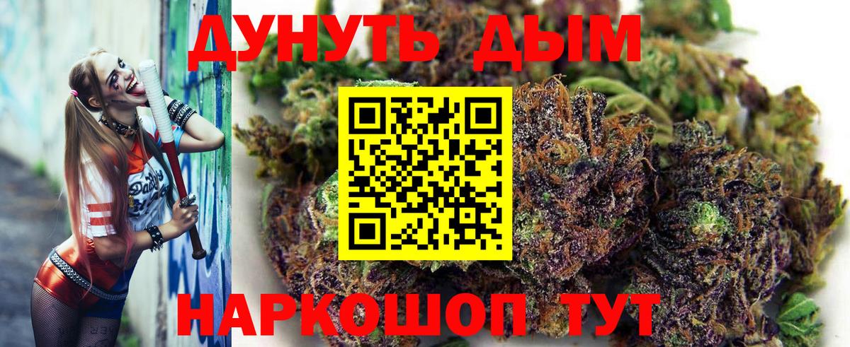 Канабис план Кингисепп