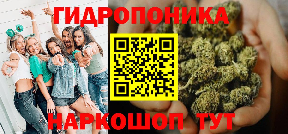 Кингисепп  Каннабис планчик  Конопля MAZAR  МАРИХУАНА AK-47  МАРИХУАНА AK-47  Вход с VPN 
